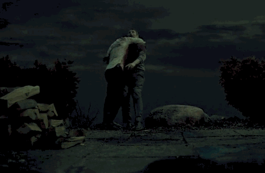 GIF of Hannibal and Will's fall from the cliff top in the final moments of the series finale.
