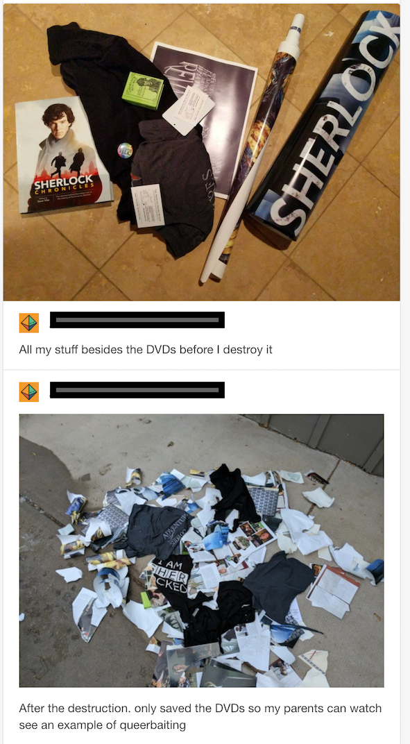 Color photographs of Sherlock memorabilia before (DVDs, rolled-up posters, and T-shirt, captioned 'All my stuff besides the DVDs before I destroy it') and after (pile of shredded rubble captioned 'After the destruction, only saved the DVDs so my parents can watch see an example of queerbaiting') its destruction.