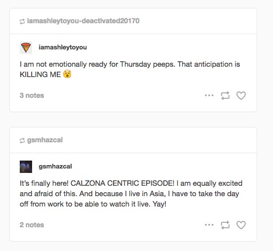 Tumblr conversation regarding anticipation of Calzona Grey's Anatomy episode. Top post by iamashleytoyou reads, 'I am not emotionally ready for Thursday peeps. That anticipation is KILLING ME [round-mouthed emoji] [3 notes].' Bottom post by gsmhazcal reads, 'It's finally here! CALZONA CENTRIC EPISODE! I am equally excited and afraid of this. And because I live in Asia, I have to take the day off from work to be able to watch it live. Yay! [2 notes].'
