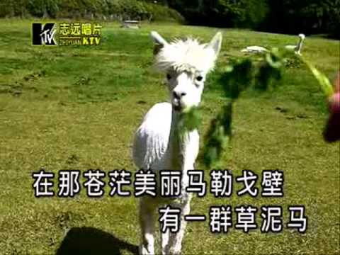Color screenshot of a white llama; a human hand in the frame proffers some sort of tasty green vegetation. Chinese-language characters appear at the bottom.